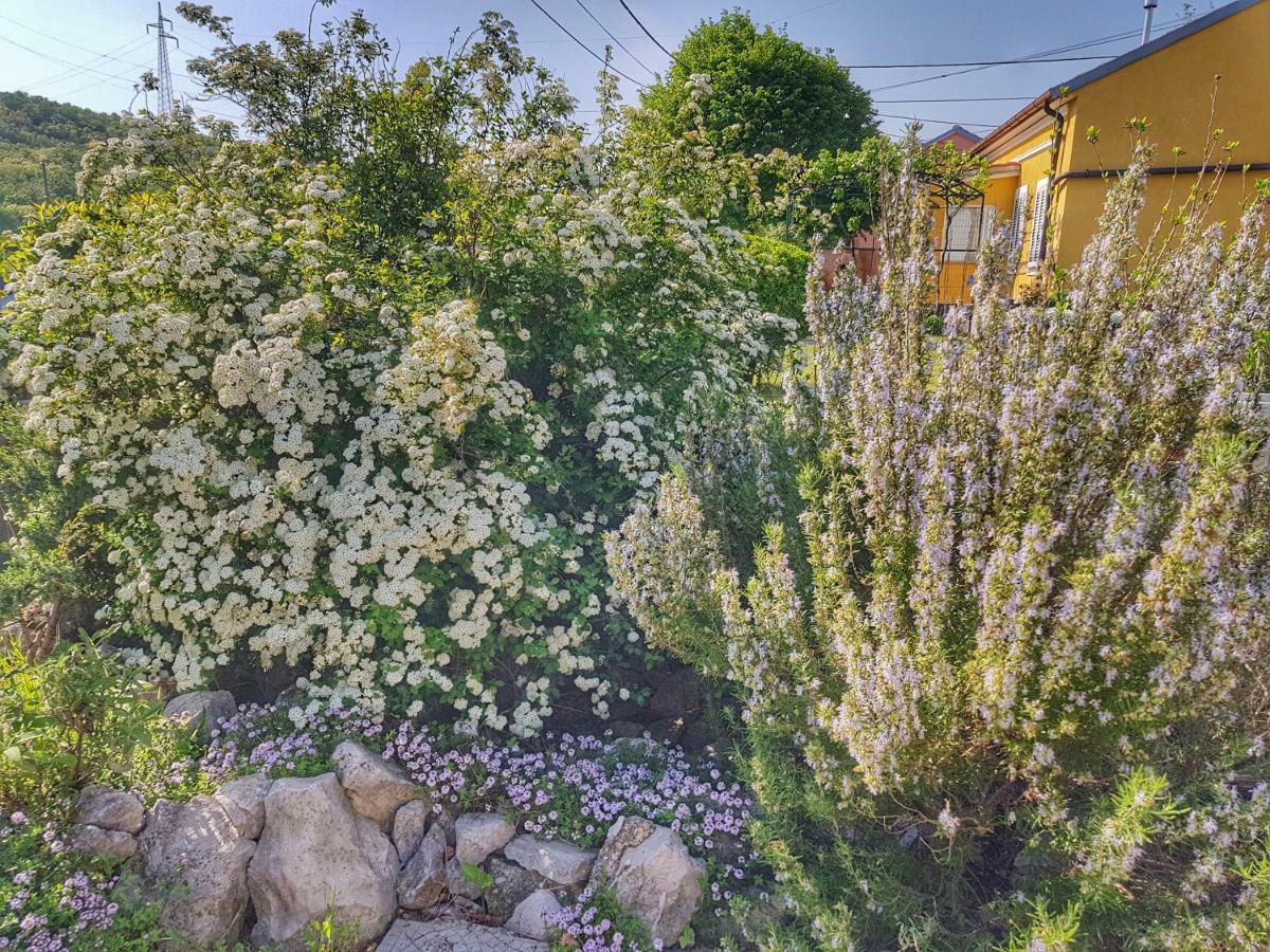 Rijeka Holiday Home Krasica  Exterior photo